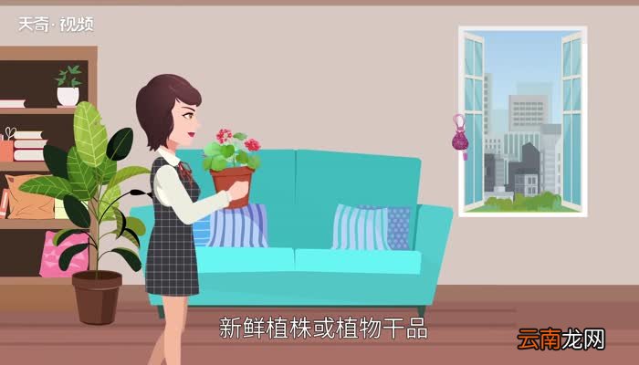 驱蚊香包能用多长时间 驱蚊香包可以用多久
