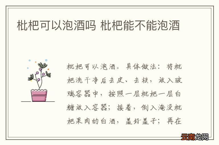枇杷可以泡酒吗 枇杷能不能泡酒
