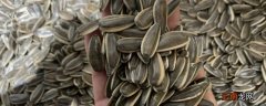 140g瓜子有多少肉