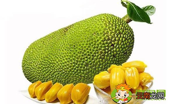 菠萝蜜怎么保存才不坏，菠萝蜜肉怎么保存
