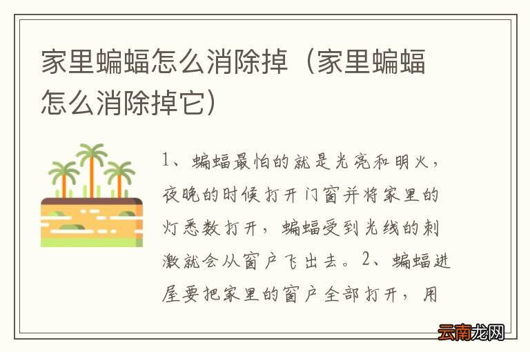 家里蝙蝠怎么消除掉它 家里蝙蝠怎么消除掉