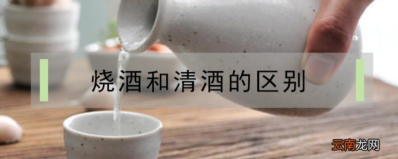 烧酒和清酒的区别