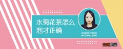 水菊花茶怎么泡才正确