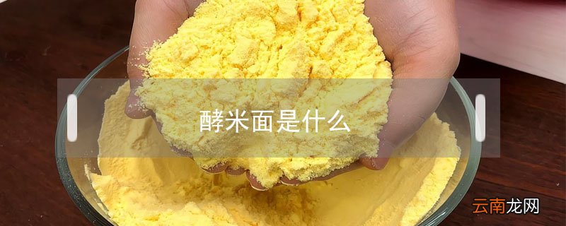 酵米面是什么