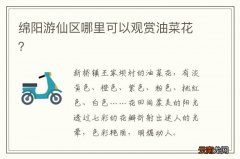绵阳游仙区哪里可以观赏油菜花？