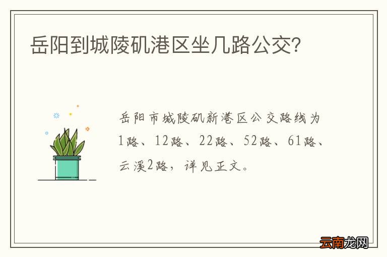岳阳到城陵矶港区坐几路公交？