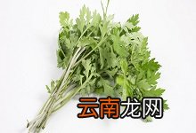 端午节为什么要挂艾草 端午节挂艾草的来历