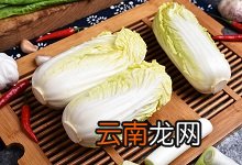 白菜热量 白菜热量是多少