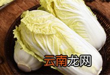 白菜炒肉怎么炒 白菜炒肉怎么炒才好吃