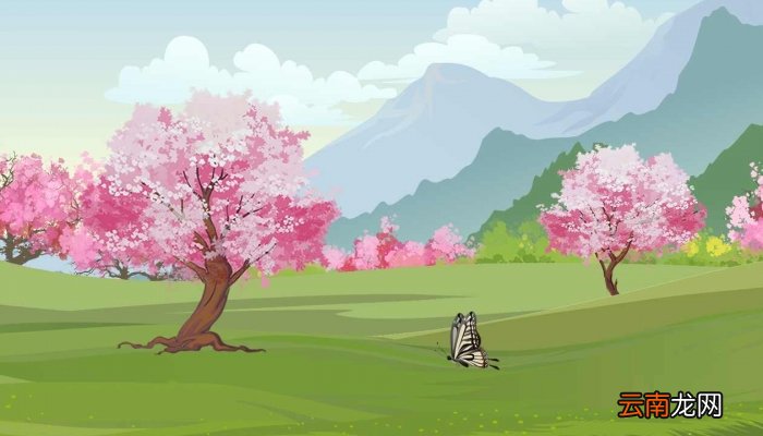 梅花开了怎么发朋友圈 梅花开了发朋友圈