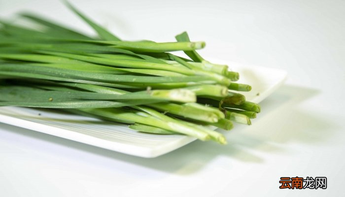 韭菜是荤菜还是素菜