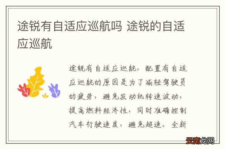 途锐有自适应巡航吗 途锐的自适应巡航