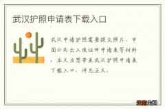 武汉护照申请表下载入口