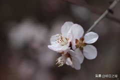 临近高考孩子不想学了怎么办 临近高考孩子不想上学怎么办