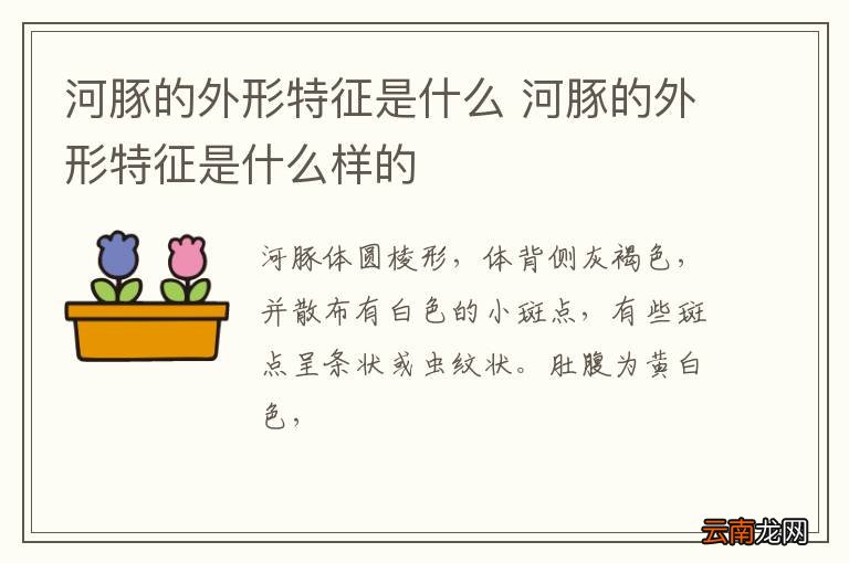 河豚的外形特征是什么 河豚的外形特征是什么样的