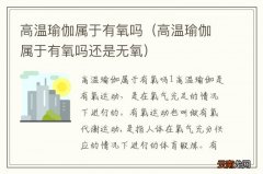高温瑜伽属于有氧吗还是无氧 高温瑜伽属于有氧吗
