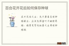 百合花开花后如何保存种球