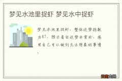 梦到水池里捉虾 梦到水中捉虾
