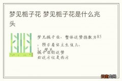 梦到栀子花 梦到栀子花是什么兆头