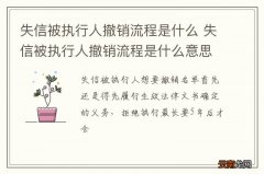 失信被执行人撤销流程是什么 失信被执行人撤销流程是什么意思