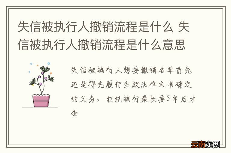 失信被执行人撤销流程是什么 失信被执行人撤销流程是什么意思