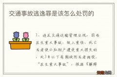 交通事故逃逸罪是该怎么处罚的