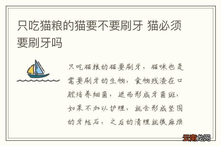 只吃猫粮的猫要不要刷牙 猫必须要刷牙吗