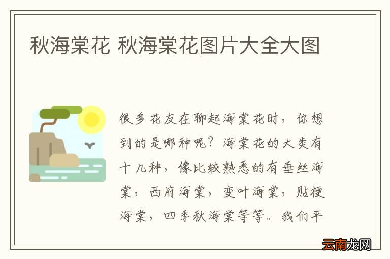 秋海棠花 秋海棠花图片大全大图