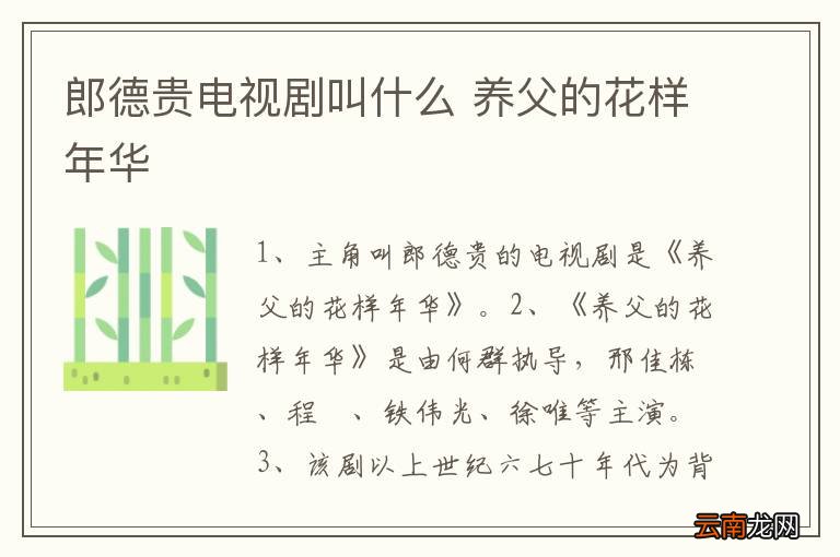 郎德贵电视剧叫什么 养父的花样年华
