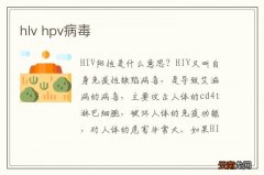 hlv hpv病毒