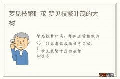 梦到枝繁叶茂 梦到枝繁叶茂的大树