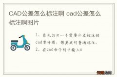 CAD公差怎么标注啊 cad公差怎么标注啊图片