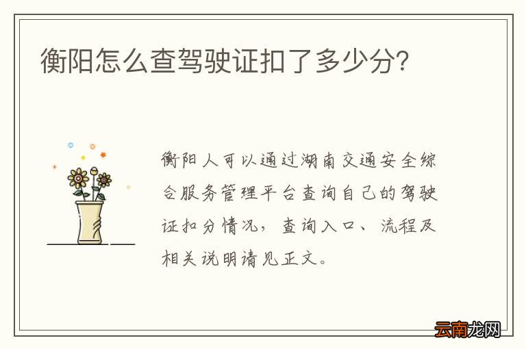 衡阳怎么查驾驶证扣了多少分？