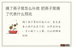 捅了燕子窝怎么补救 把燕子窝捅了代表什么预兆