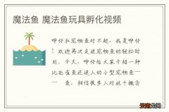 魔法鱼 魔法鱼玩具孵化视频