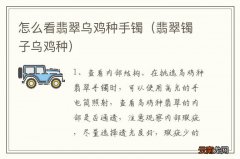 翡翠镯子乌鸡种 怎么看翡翠乌鸡种手镯