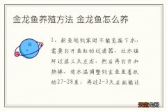 金龙鱼养殖方法 金龙鱼怎么养