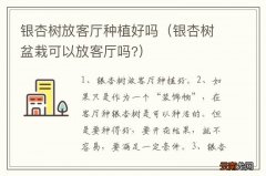 银杏树盆栽可以放客厅吗? 银杏树放客厅种植好吗