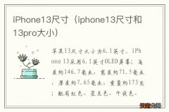 iphone13尺寸和13pro大小 iPhone13尺寸