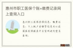 惠州市职工医保个账+缴费记录网上查询入口