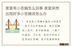 家里有小苍蝇怎么回事 家里突然出现好多小苍蝇该怎么办