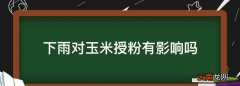 下雨对玉米授粉有影响