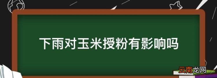 下雨对玉米授粉有影响