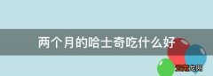 两个月的哈士奇吃什么好，两个月哈士奇吃什么狗粮
