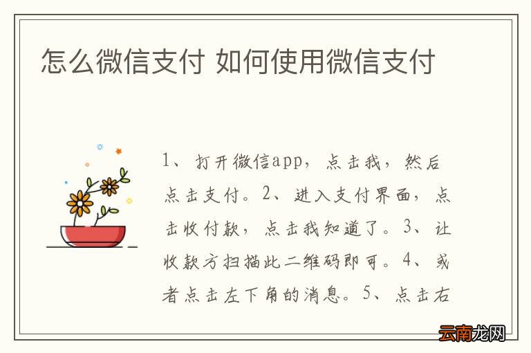 怎么微信支付 如何使用微信支付