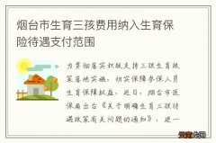 烟台市生育三孩费用纳入生育保险待遇支付范围