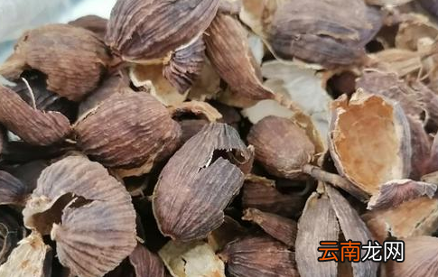 怎么能让红油又稠又黏，一下语文部编版电子书