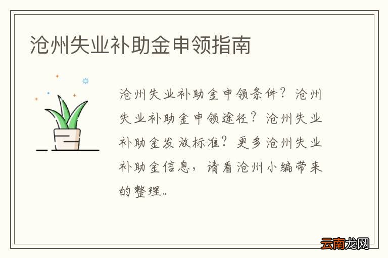沧州失业补助金申领指南